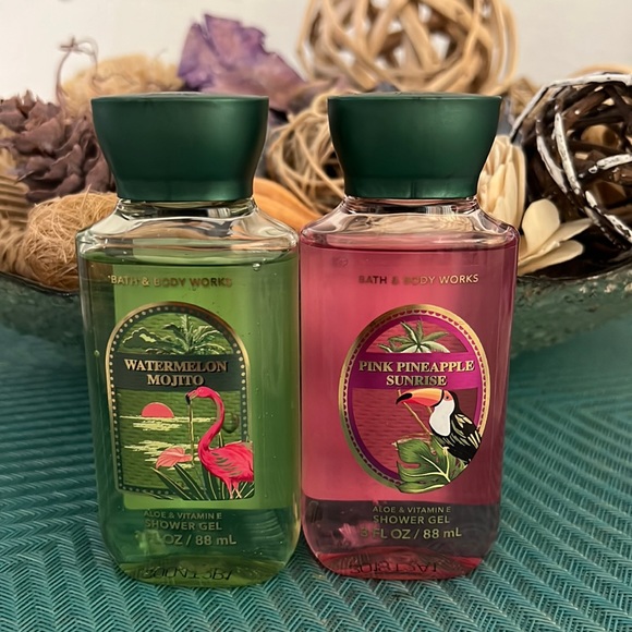 Bath & Body Works Other - Bath and Body Works TRAVEL SIZE 2PK Shower Gel
